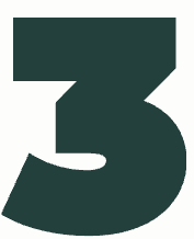 Paso 3 Plan Aliado - Declaraciones automáticas SAT